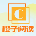 VR演唱会下载APP应用